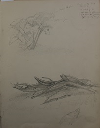 JD_S_00831